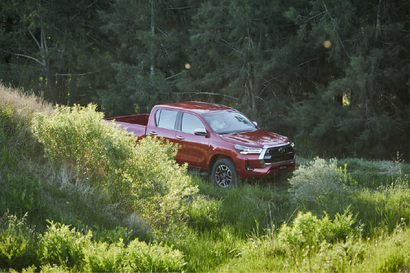 Hilux 2022 Bosque